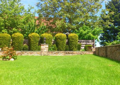 Residential backyard with landscaped hedges and green grass